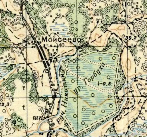 План деревни Моисеево. 1941 год