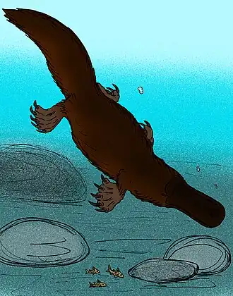 Одна из возможных реконструкций внешнего вида