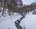 Коломенский ручей зимой