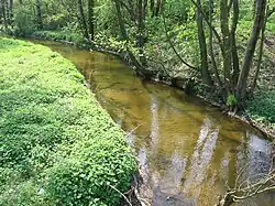 Мощеница вблизи Воли Браницкой