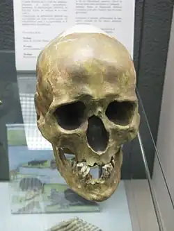 Шанселадский человек