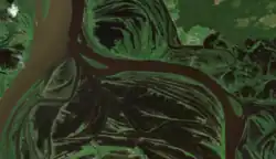 Спутниковый снимок низовий реки Кеть (справа) в устье летом 2024 года