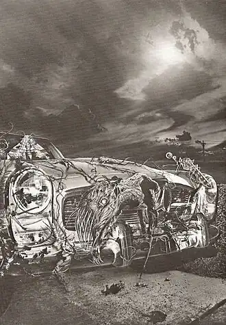 Иллюстрация Дж. К. Поттера из ограниченного издания 1984 года