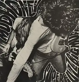 Обложка альбома Mudhoney «Superfuzz Bigmuff» (1988)