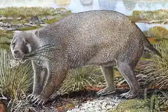 Реконструкция Mukupirna nambensis