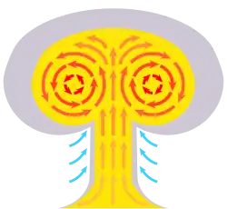 Схема воздушных потоков в грибе