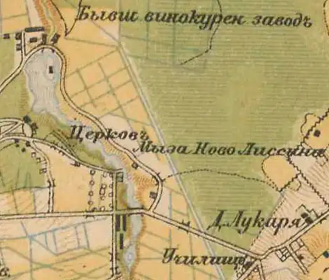 План мызы Новолисино. 1885 год