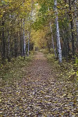 Природный паркНымме-Мустамяэ