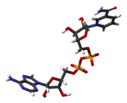 Никотинамид­аденин­динуклеотид31 октября 2014