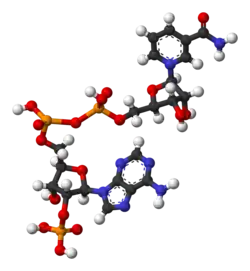 Изображение молекулярной модели