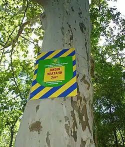 Платаны у Днепра — памятная табличка