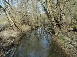 Везебах перед впадением в Эдер, на востоке заповедника