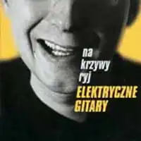 Обложка альбома Elektryczne Gitary «Na krzywy ryj» (1997)