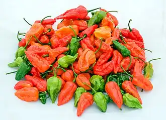 Сорт Naga Jolokia, плоды