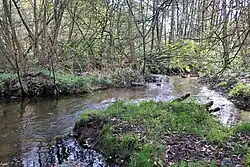 Намербах в низовьях