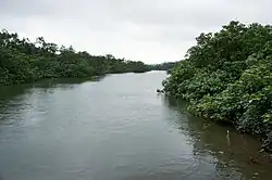 Среднее течение реки