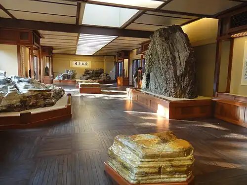 Гунши разного размера в Наньляньском саду[англ.] в Гонконге