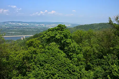 Вид замка со смотровой площадки Храмовой горы