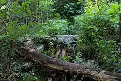 Родник Нефан-Узень I, исток балки.