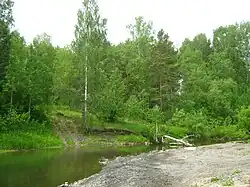 Басандайка, устье Нефёдовки