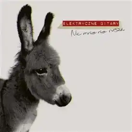 Обложка альбома Elektryczne Gitary «Nic mnie nie rusza» (2012)