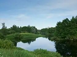 Негоша летом 2011 года