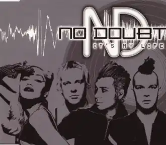 Обложка сингла No Doubt «It’s My Life» ()