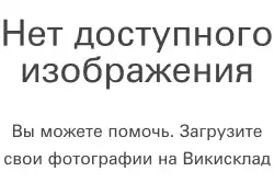 Каш­та­но­во­го­ло­вый пу­шис­тый по­го­ныш6 февраля 2022
