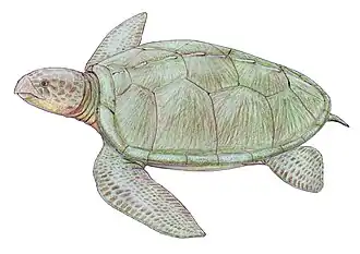 Реконструкция