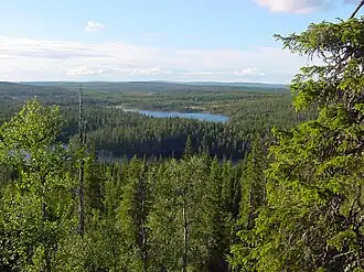 Вид с вершины Нукаваара