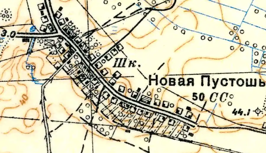 План деревни Новая Пустошь. 1939 год