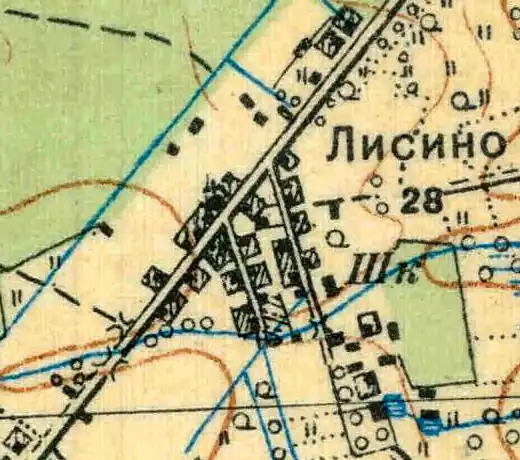 План деревни Лисино. 1931 год