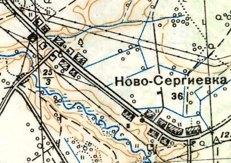 План деревни Новосергиевка. 1939 год