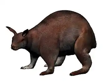 Реконструкция