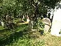 Еврейское кладбище