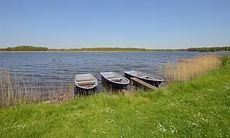 Руппинер-Зе около Фербеллина