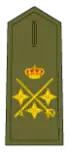Teniente General