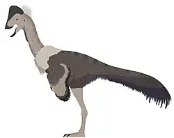 Ojoraptorsaurus