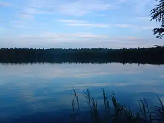 Озеро Оланга летом 2008 года