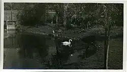 Вид затона Городничанки, протекающей через зоопарк