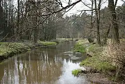 Луэ в Ольдендорфе