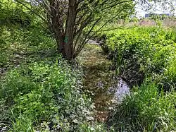 Ольшувка-Кшицкая в районе улицы Поранней