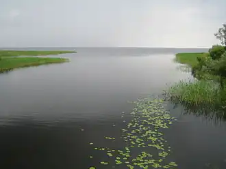 Устье реки Омеду