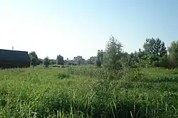 Вид на сельский луг