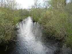 Осуга возле Кувшиново