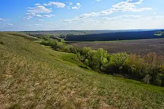 Овраг Верховой2 июля 2015