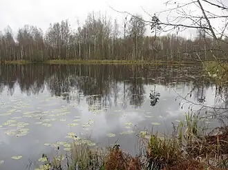 Вид на южную часть озера осенью 2012 года