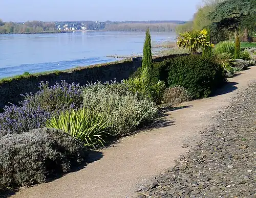 Сад на берегу Луары