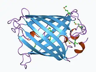Структура ЗФБ медузы Aequorea victoria