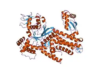 аргинил-тРНК-синтетаза из Thermus thermophilus